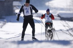 Lenk 2013